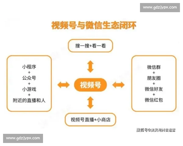 企业视频号运营全攻略：内容策划、粉丝增长与转化技巧揭秘